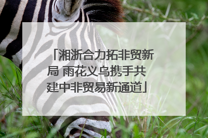 湘浙合力拓非贸新局 雨花义乌携手共建中非贸易新通道