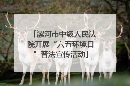 漯河市中级人民法院开展“六五环境日”普法宣传活动