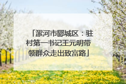漯河市郾城区：驻村第一书记王元明带领群众走出致富路