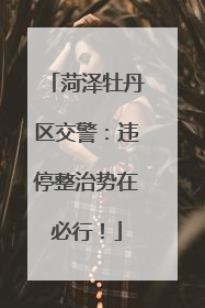 菏泽牡丹区交警：违停整治势在必行！