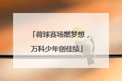 荷球赛场燃梦想，万科少年创佳绩