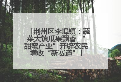 荆州区李埠镇：蔬菜大镇瓜果飘香 “甜蜜产业”开辟农民增收“新赛道”