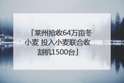 莱州抢收64万亩冬小麦 投入小麦联合收割机1500台