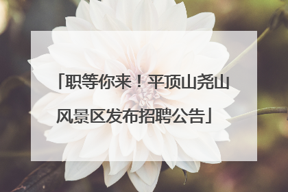 职等你来！平顶山尧山风景区发布招聘公告