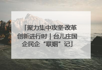 聚力集中攻坚·改革创新进行时｜台儿庄国企民企“联姻”记