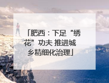 肥西：下足“绣花”功夫 推进城乡精细化治理