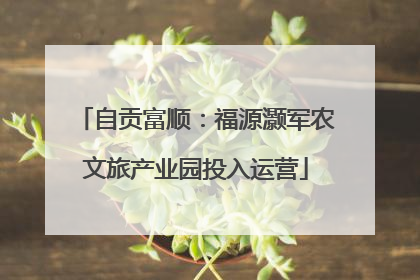 自贡富顺：福源灏军农文旅产业园投入运营