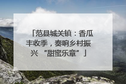 范县城关镇：香瓜丰收季，奏响乡村振兴 “甜蜜乐章”