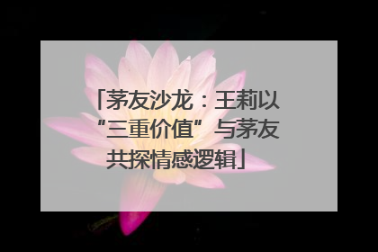 茅友沙龙：王莉以“三重价值”与茅友共探情感逻辑