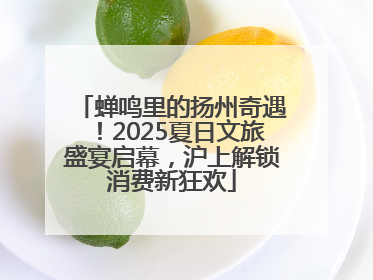 蝉鸣里的扬州奇遇！2025夏日文旅盛宴启幕，沪上解锁消费新狂欢