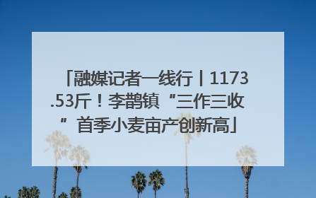 融媒记者一线行丨1173.53斤！李鹊镇“三作三收”首季小麦亩产创新高