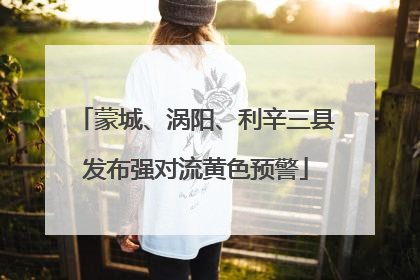 蒙城、涡阳、利辛三县发布强对流黄色预警