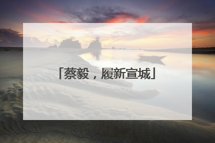 蔡毅，履新宣城