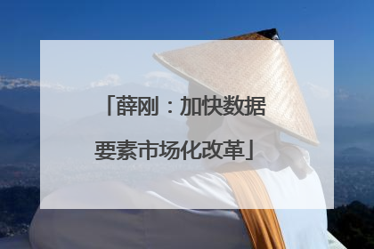 薛刚：加快数据要素市场化改革