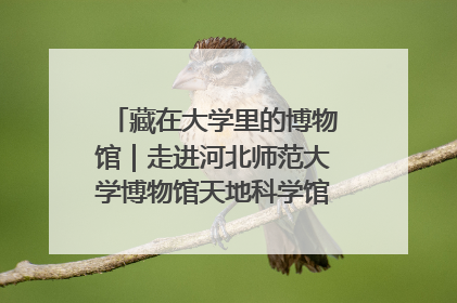 藏在大学里的博物馆｜走进河北师范大学博物馆天地科学馆：在校园里赴一场“宇宙之约”