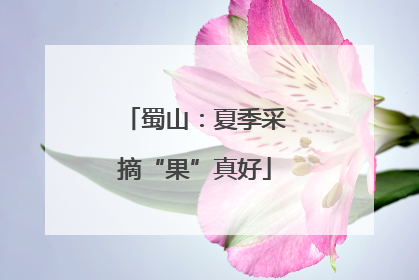 蜀山：夏季采摘“果”真好