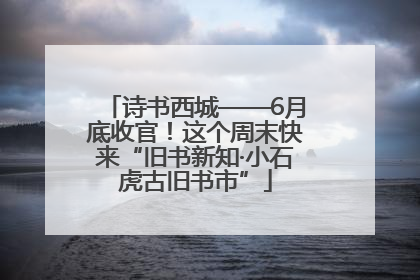 诗书西城——6月底收官！这个周末快来“旧书新知·小石虎古旧书市”