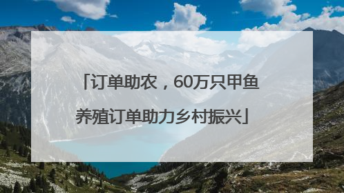订单助农，60万只甲鱼养殖订单助力乡村振兴