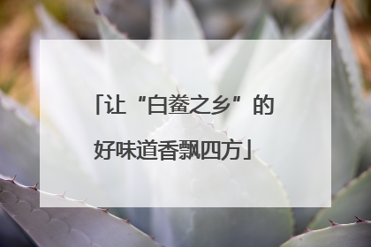 让“白鲞之乡”的好味道香飘四方