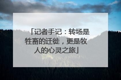记者手记：转场是牲畜的迁徙，更是牧人的心灵之旅