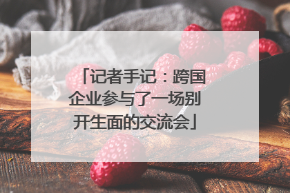 记者手记：跨国企业参与了一场别开生面的交流会
