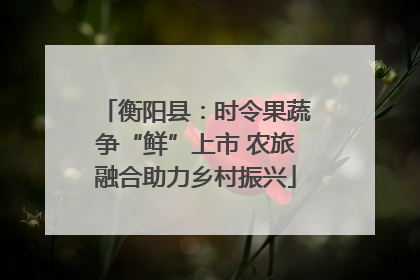 衡阳县：时令果蔬争“鲜”上市 农旅融合助力乡村振兴