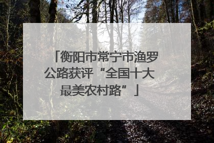 衡阳市常宁市渔罗公路获评“全国十大最美农村路”