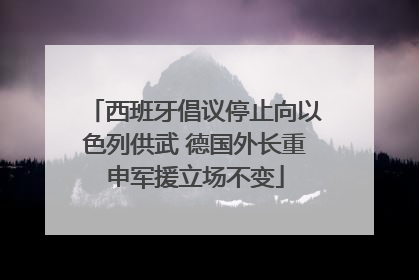 西班牙倡议停止向以色列供武 德国外长重申军援立场不变