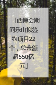 西博会期间乐山拟签约项目22个，总金额超550亿元