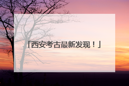 西安考古最新发现！