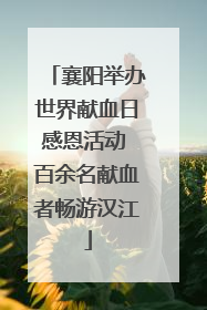 襄阳举办世界献血日感恩活动 百余名献血者畅游汉江