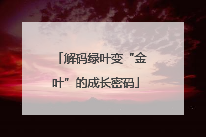 解码绿叶变“金叶”的成长密码