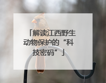 解读江西野生动物保护的“科技密码”