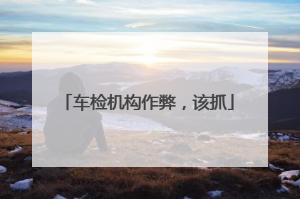车检机构作弊，该抓