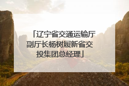 辽宁省交通运输厅副厅长杨树履新省交投集团总经理