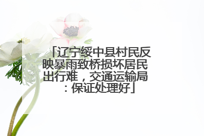 辽宁绥中县村民反映暴雨致桥损坏居民出行难，交通运输局：保证处理好