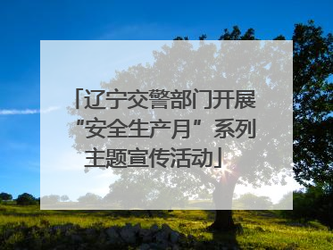 辽宁交警部门开展“安全生产月”系列主题宣传活动