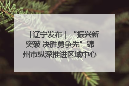 辽宁发布|“振兴新突破 决胜勇争先”锦州市纵深推进区域中心城市建设 打造高质量发展新增长极