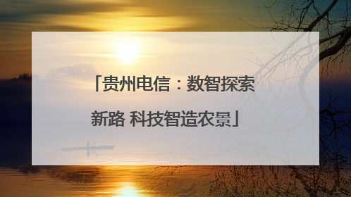 贵州电信：数智探索新路 科技智造农景