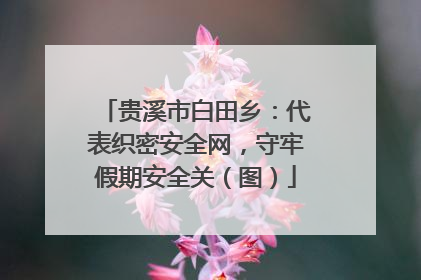 贵溪市白田乡：代表织密安全网，守牢假期安全关（图）