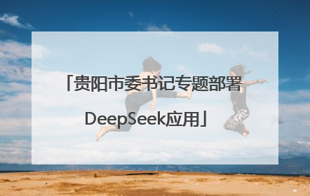 贵阳市委书记专题部署DeepSeek应用