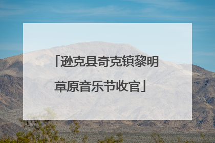 逊克县奇克镇黎明草原音乐节收官