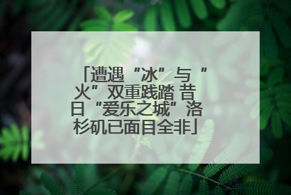 遭遇“冰”与“火”双重践踏 昔日“爱乐之城”洛杉矶已面目全非