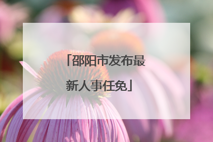 邵阳市发布最新人事任免