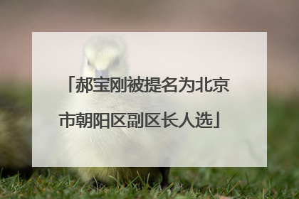 郝宝刚被提名为北京市朝阳区副区长人选