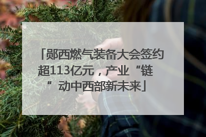 郧西燃气装备大会签约超113亿元，产业“链”动中西部新未来