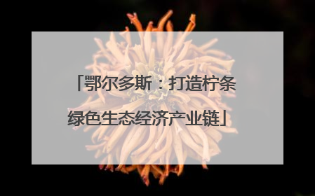 鄂尔多斯：打造柠条绿色生态经济产业链