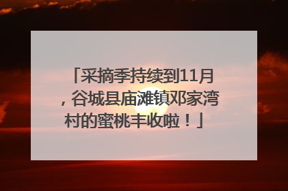 采摘季持续到11月，谷城县庙滩镇邓家湾村的蜜桃丰收啦！