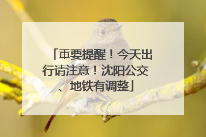 重要提醒！今天出行请注意！沈阳公交、地铁有调整