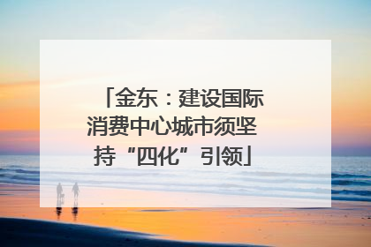 金东：建设国际消费中心城市须坚持“四化”引领